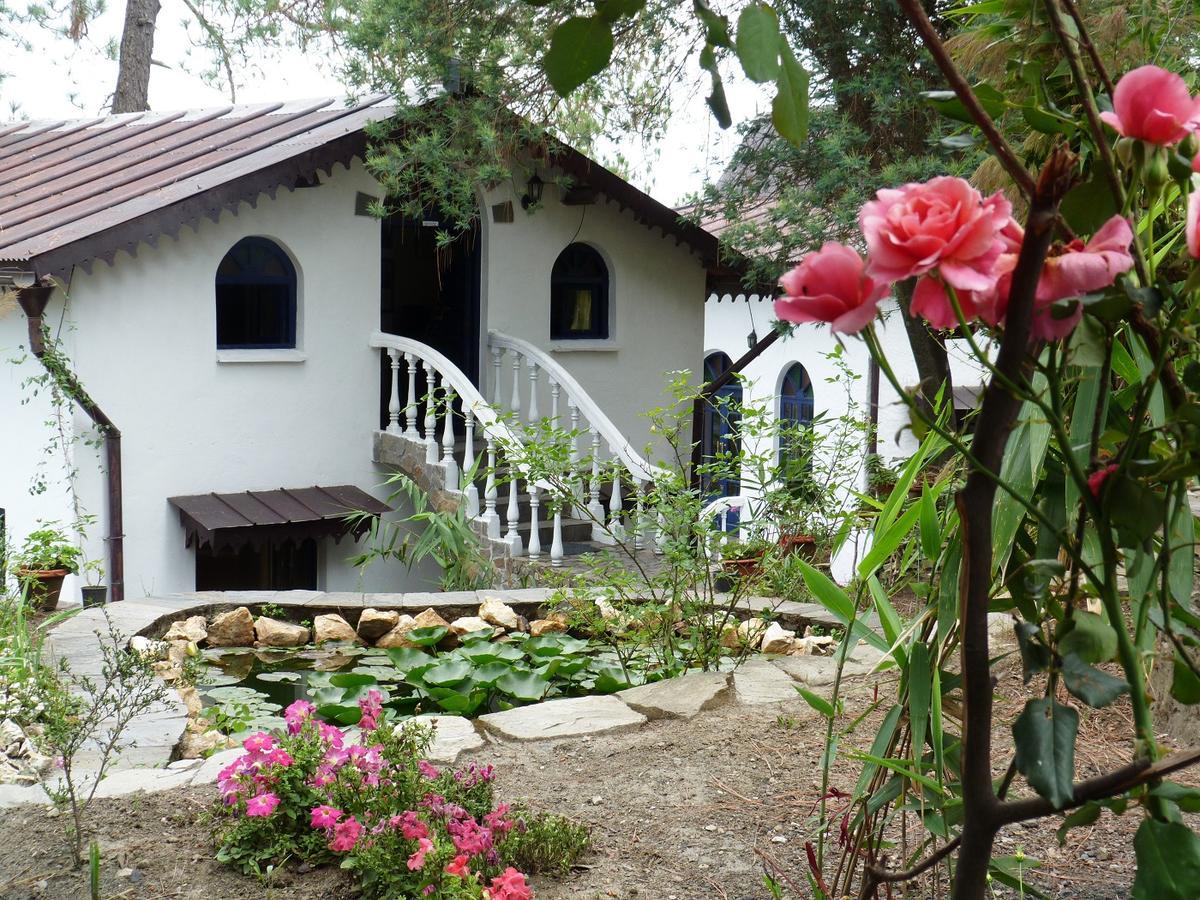 Ayurvaid Kalmatia Hotel Almora Kültér fotó