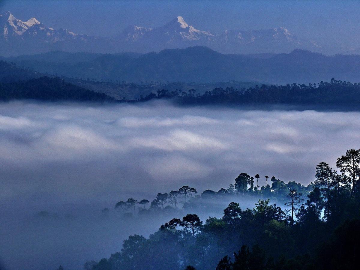 Ayurvaid Kalmatia Hotel Almora Kültér fotó
