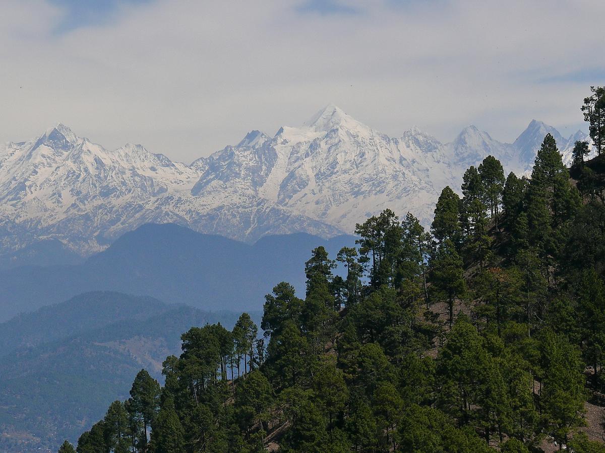 Ayurvaid Kalmatia Hotel Almora Kültér fotó