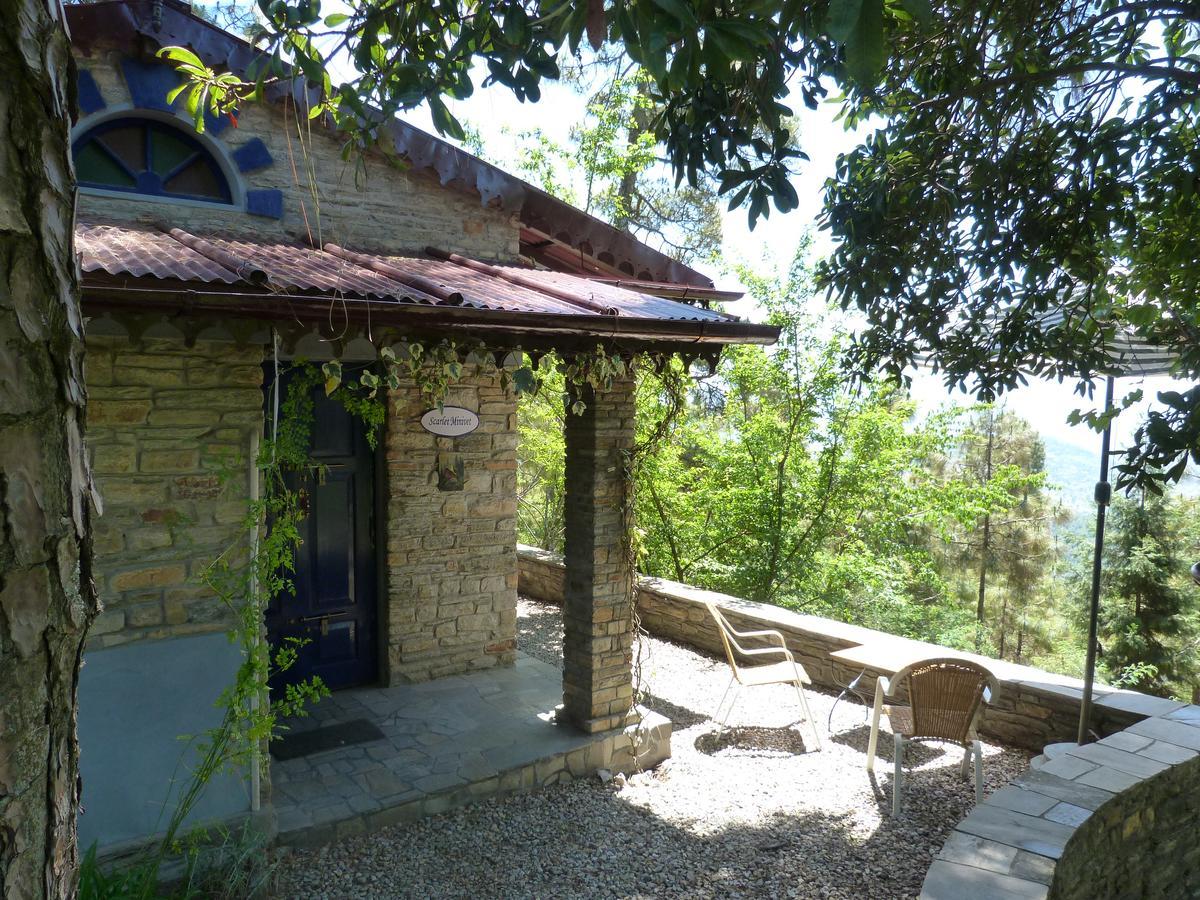 Ayurvaid Kalmatia Hotel Almora Kültér fotó